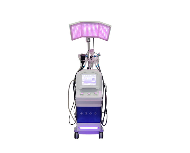 facial care device