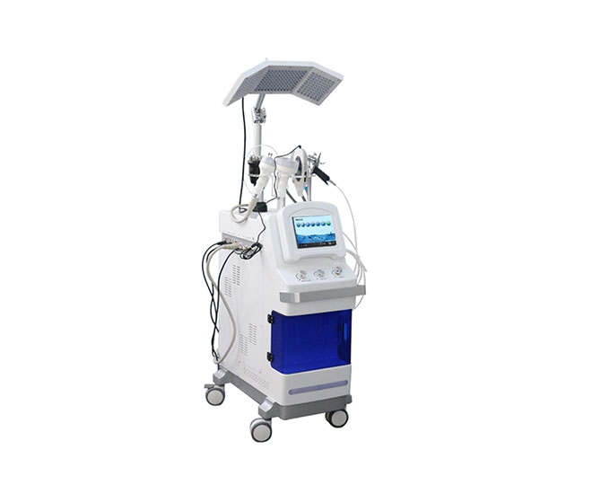 facial care device