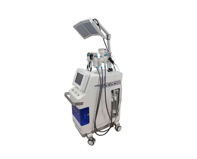 facial care device