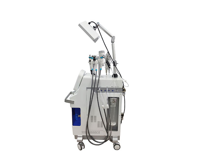 facial care device