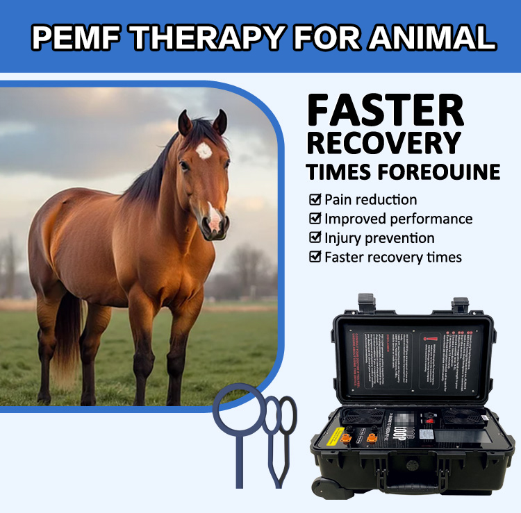 pemf machine price