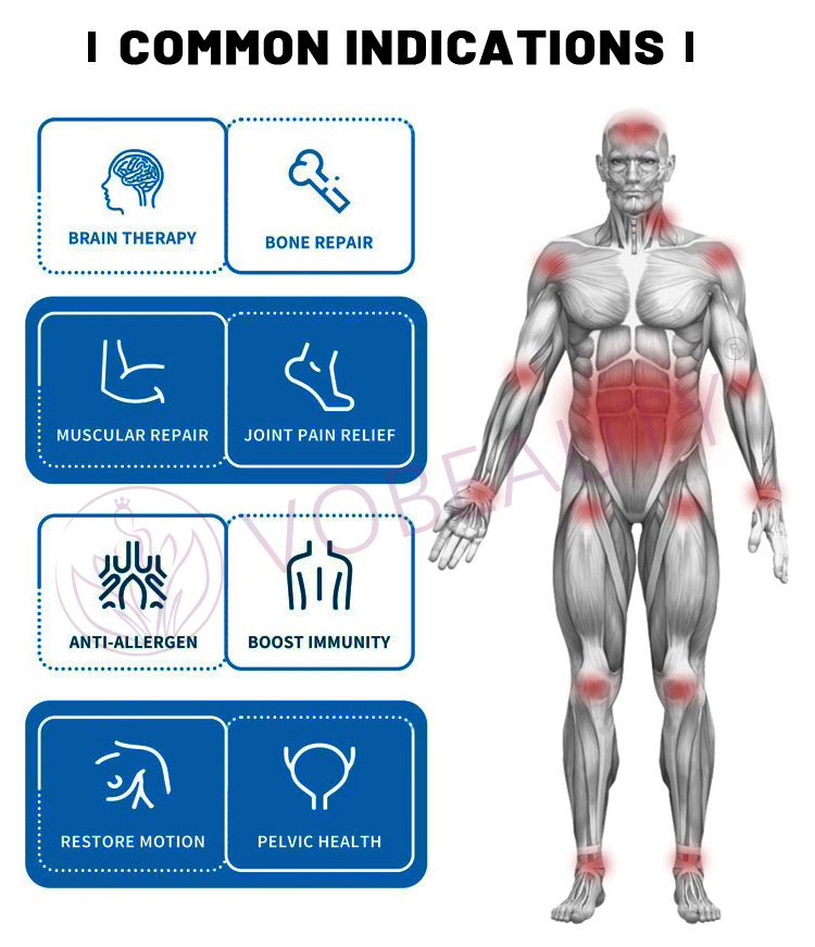 PEMF Therapy Human and animal treatments machine