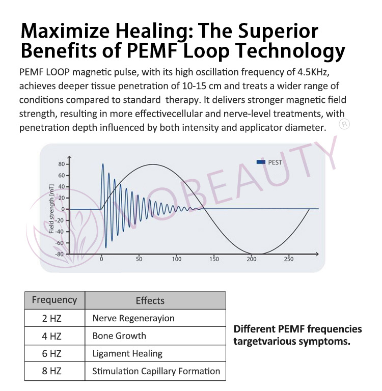 PEMF Therapy Human and animal treatments machine