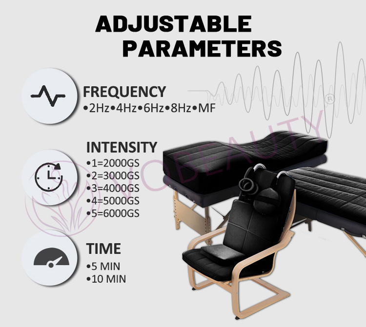 PEMF Therapy Human and animal treatments machine