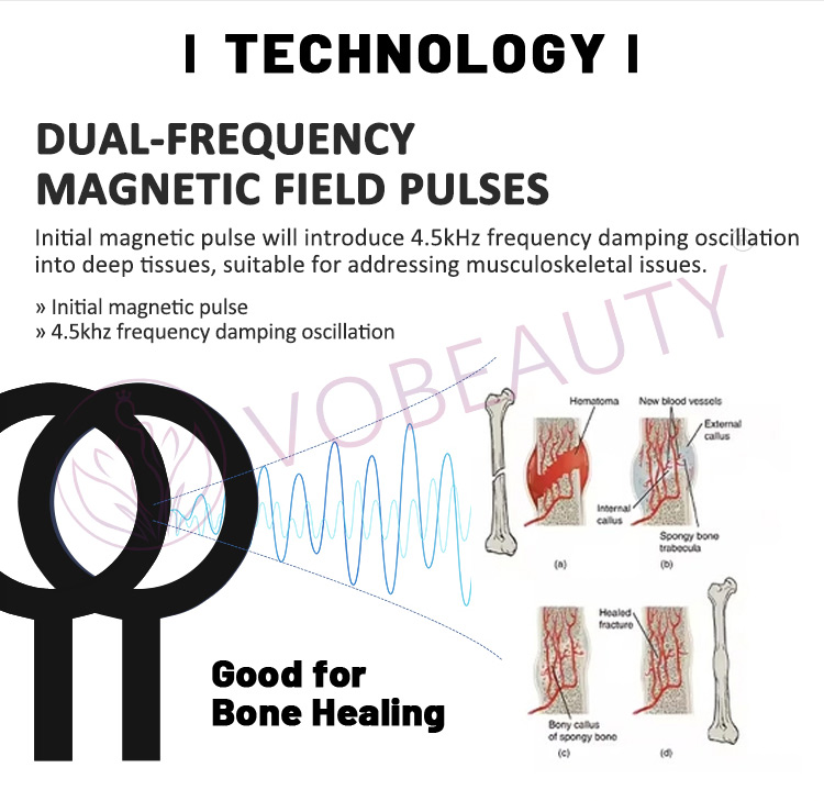 PEMF Therapy Human and animal treatments machine