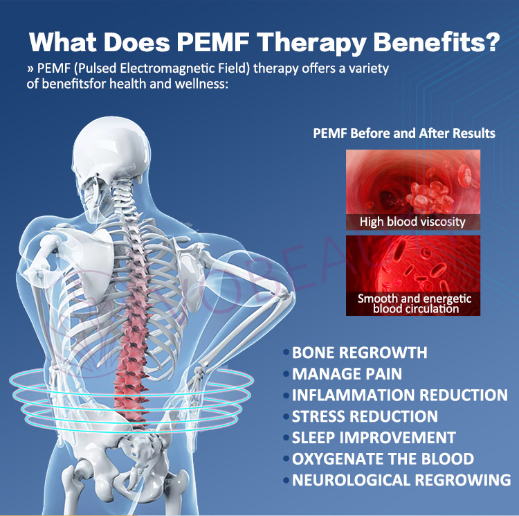 PEMF Therapy Human and animal treatments machine